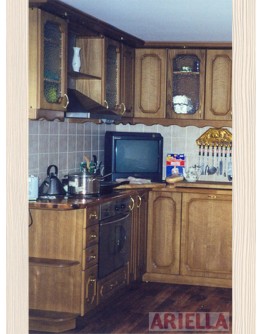 Kitchen furniture 110