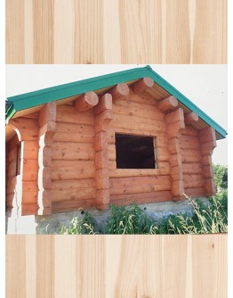 Log house on the Norwegian corner 100